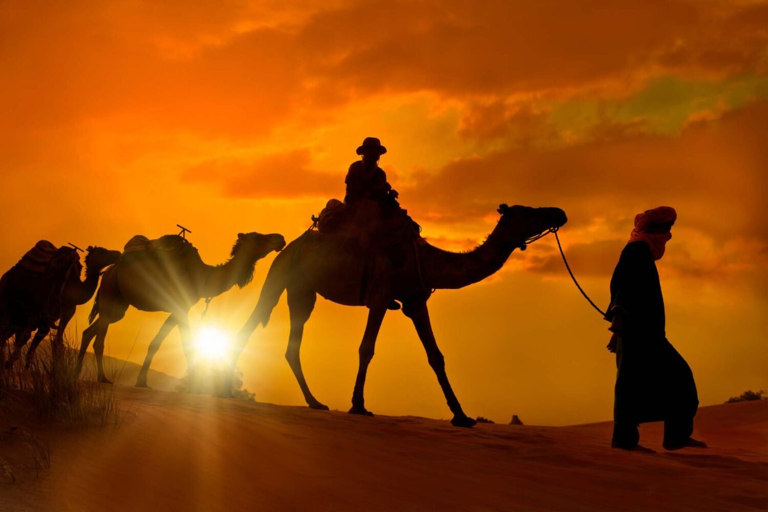 Merzouga Dunes