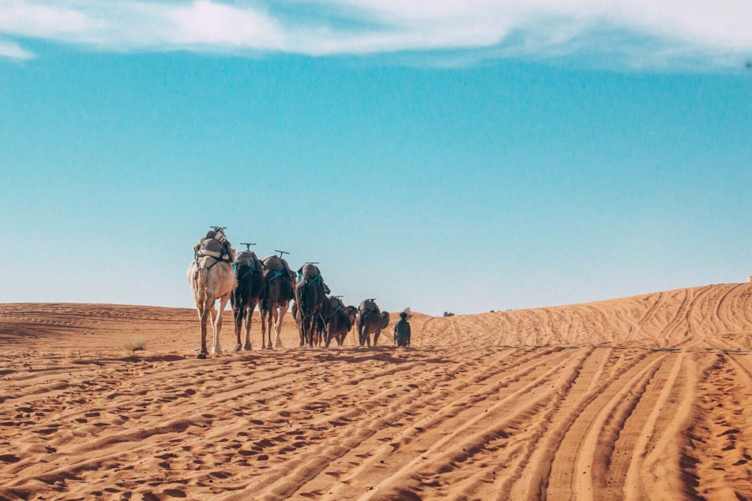 tour da fes a marrakech 3 giorni